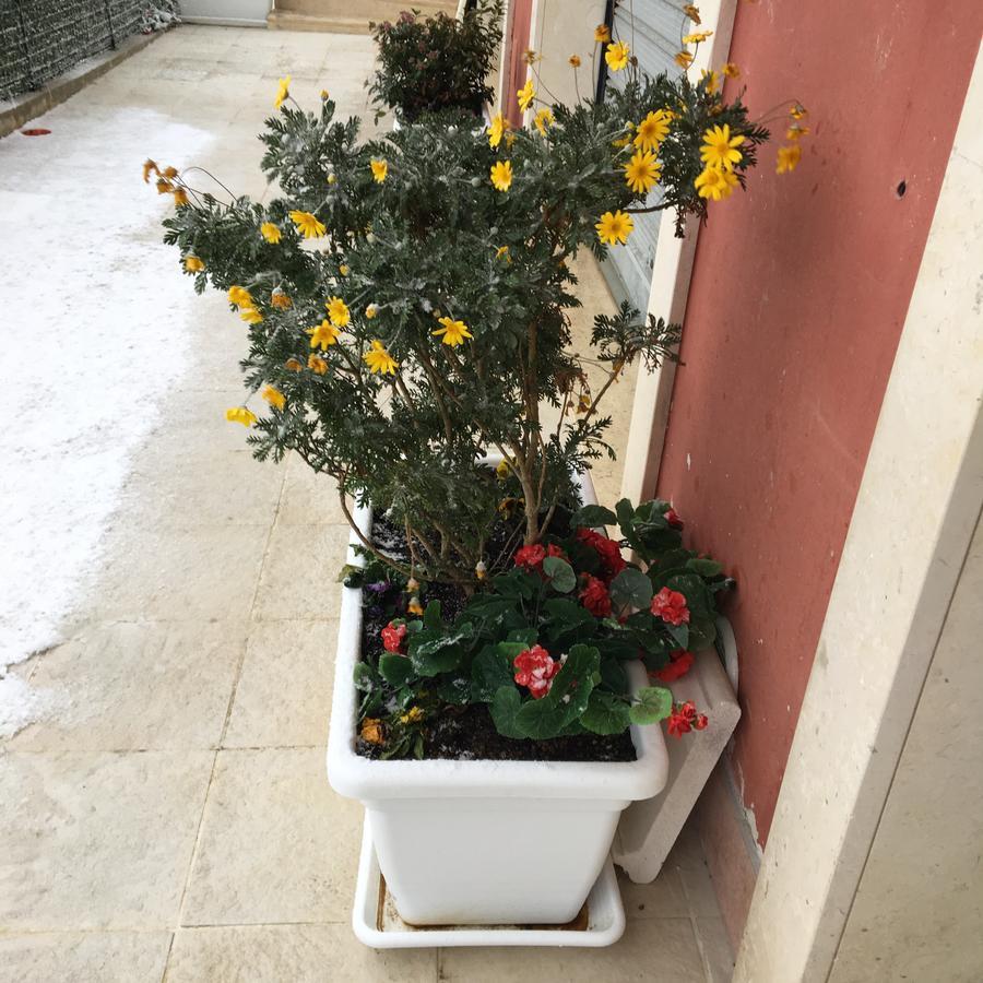 Amaranto Bnb Matera Exteriér fotografie